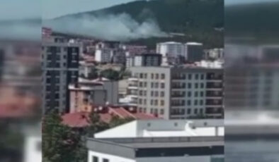 Pendik’te Aydos Ormanı’nda yangın