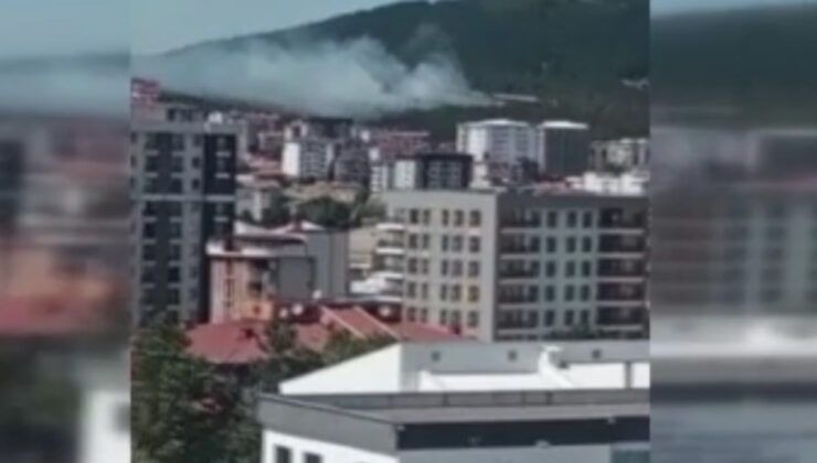 Pendik’te Aydos Ormanı’nda yangın