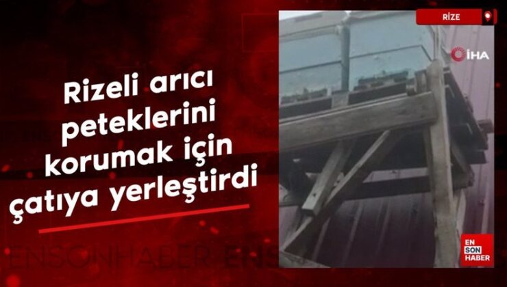 Rizeli arıcı peteklerini ayılardan korumak için çatıya yerleştirdi