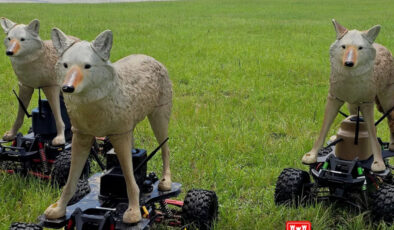 Robot çakallar, ABD askeri havaalanlarını müdafaaya başladı