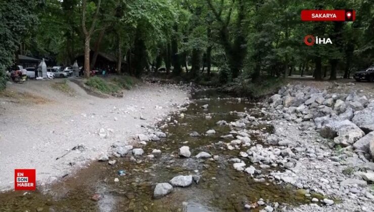 Sakarya’da korkutan görüntü: Doğaseverlerin gözdesi kurudu