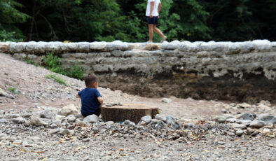 Sakarya’da korkutan görünüm: Doğaseverlerin gözdesi kurudu