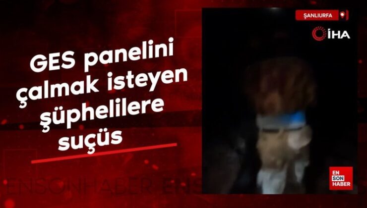 Şanlıurfa’da GES panelini çalmak isteyen şüphelilere suçüstü