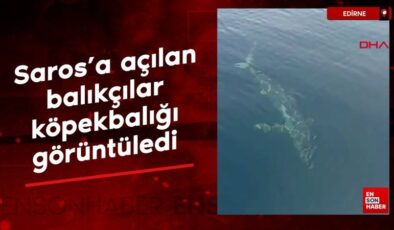 Saros’a açılan balıkçılar köpekbalığı görüntüledi