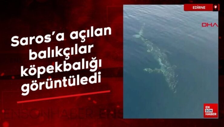 Saros’a açılan balıkçılar köpekbalığı görüntüledi
