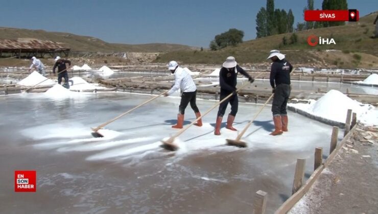 Sivas’ta 2 asırdır tıpkı yollarla üretiliyor, beyaz altın hasadı başladı