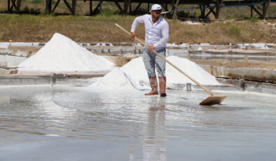Sivas’ta iki asırdır tıpkı yollarla elde edilen beyaz altının hasadı başladı