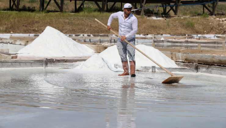 Sivas’ta iki asırdır tıpkı yollarla elde edilen beyaz altının hasadı başladı