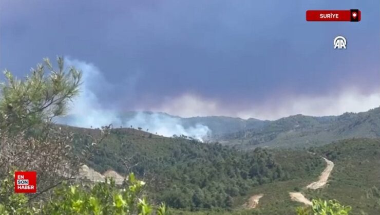 Suriye’nin Lazkiye kentinde orman yangını çıktı