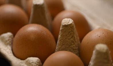 Tavuk yumurtası ihracatı kayda bağlandı