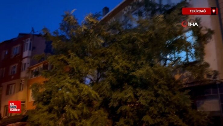 Tekirdağ’da balkonda kahve içerken üzerine ağaç devrildi
