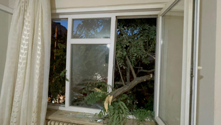 Tekirdağ’da konutunun balkonunda kahve içiyordu: Üzerine ağaç devrildi