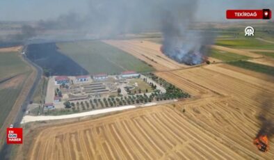 Tekirdağ’da tarım alanında başlayan yangın söndürüldü