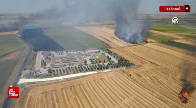 Tekirdağ’da tarım alanında başlayan yangın söndürüldü