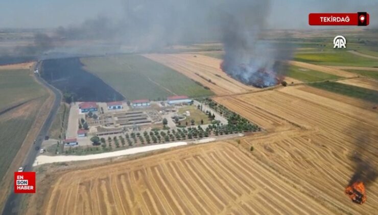 Tekirdağ’da tarım alanında başlayan yangın söndürüldü
