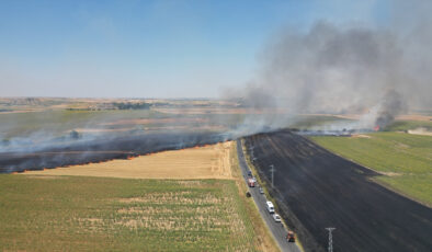 Tekirdağ’da tarım alanında yangın