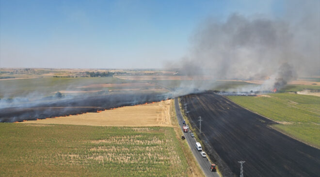 Tekirdağ’da tarım alanında yangın