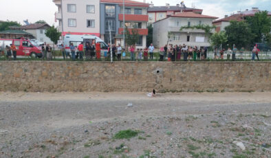 Tokat’ta kediyi kurtarmak isterken mevtten döndü