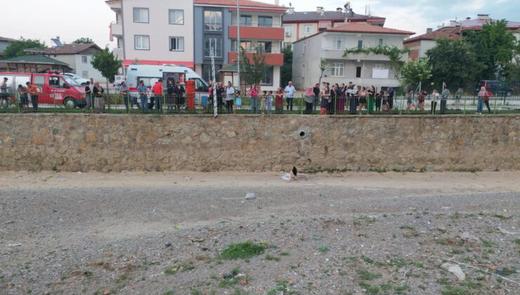 Tokat’ta kediyi kurtarmak isterken mevtten döndü