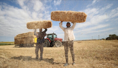 Trakya’da balya personellerinin kavurucu sıcaktaki mesaisi zorluyor