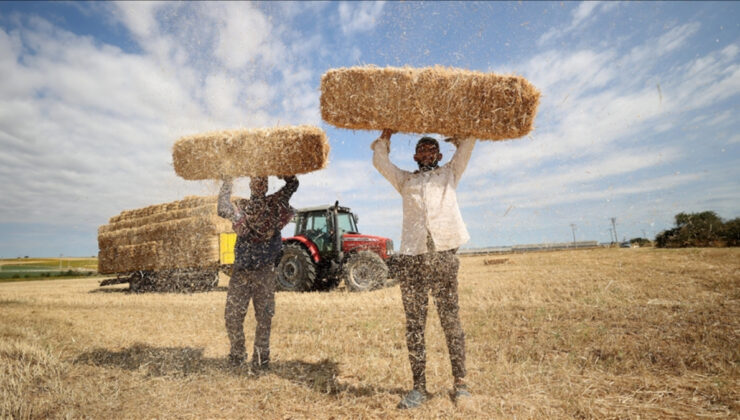Trakya’da balya personellerinin kavurucu sıcaktaki mesaisi zorluyor