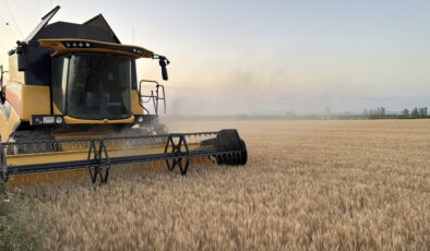 Trakya’da buğday hasadında sona yaklaşıldı