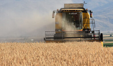 Türkiye, ziraî hasılada rekor kırdı
