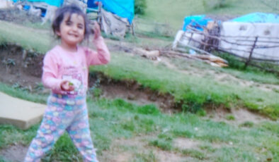 Üç buçuk yaşındaki Evrim, Tokat’ta kayboldu: 7 yıldır haber alınamıyor