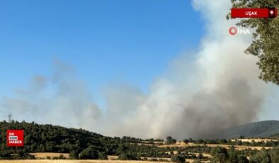 Uşak’ta iki farklı noktada yangın