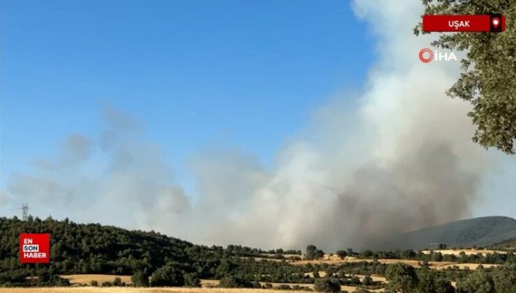 Uşak’ta iki farklı noktada yangın