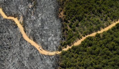 Uşak’ta orman yangınından etkilenen alanlar görüntülendi