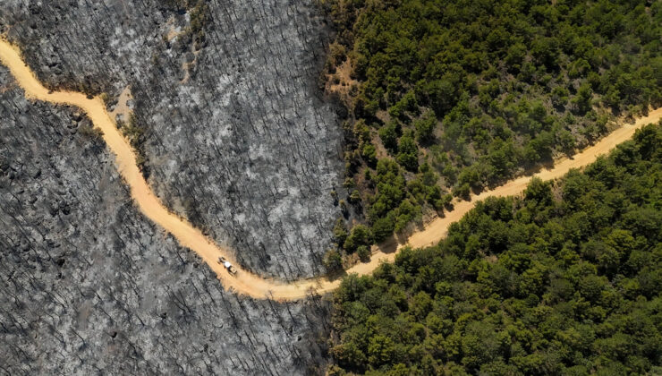Uşak’ta orman yangınından etkilenen alanlar görüntülendi