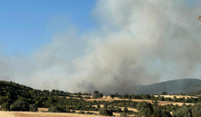 Uşak’ta orman yangınları