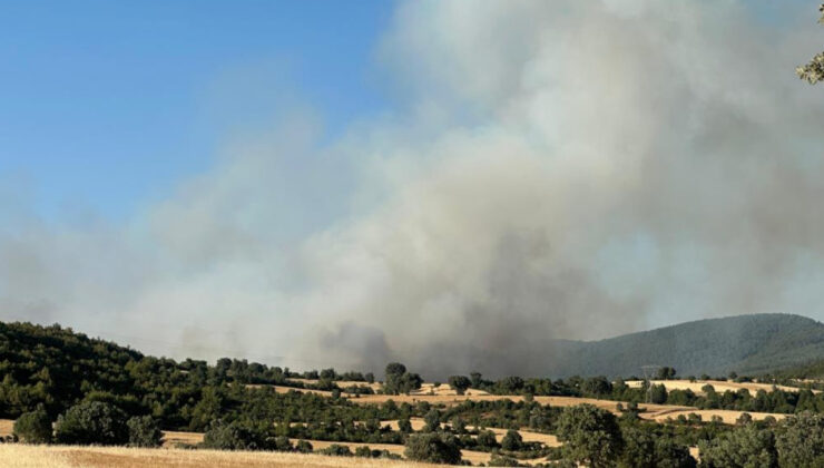 Uşak’ta orman yangınları