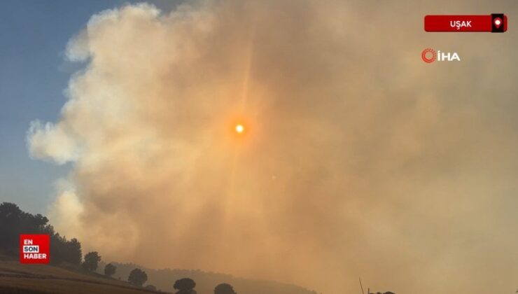 Uşak’taki orman yangınıyla ilgili 2 kişi gözaltına alındı