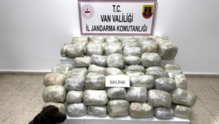Van’da 70 kilo skunk ele geçirildi