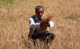 Van’da çiftçilerin gölet isyanı: Varlık içinde yokluk yaşıyoruz