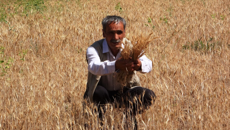 Van’da çiftçilerin gölet isyanı: Varlık içinde yokluk yaşıyoruz