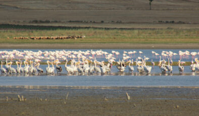 Yozgat’ın bâtın cenneti Gelingüllü Barajı görenleri büyülüyor