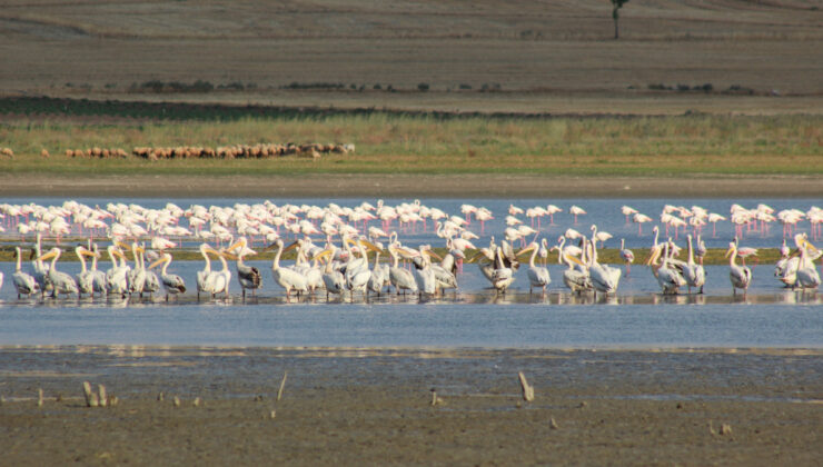 Yozgat’ın bâtın cenneti Gelingüllü Barajı görenleri büyülüyor