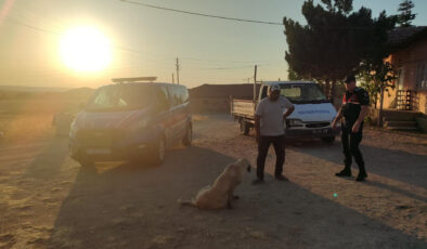 Yozgat’ta başıboş köpek çocuğa saldırdı