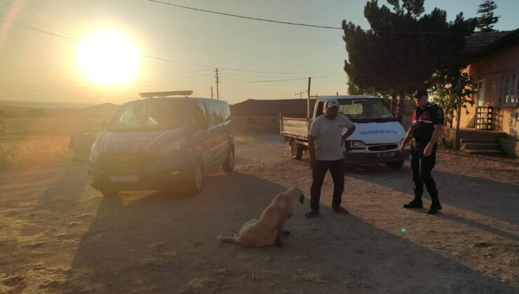 Yozgat’ta başıboş köpek çocuğa saldırdı