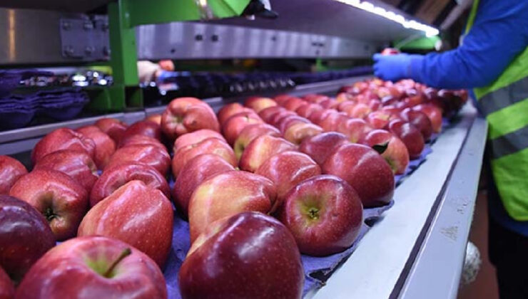 Yurt dışına ihracat yapıyordu… Türkiye’nin besin devi konkordato ilan etti