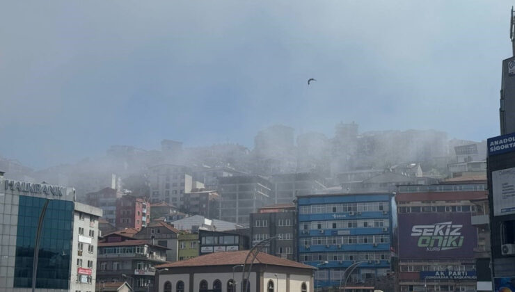 Zonguldak’ta soğuk hava tesirli oluyor