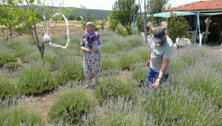 1 dönümle başladı, 30 dönüme çıkardı: Hobisiyle geçiniyor…