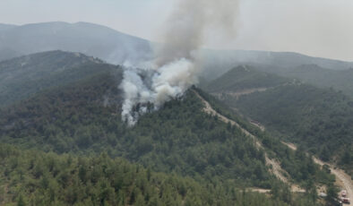 19 günde 61 orman yangını: 23 kuşkulu gözaltına alındı