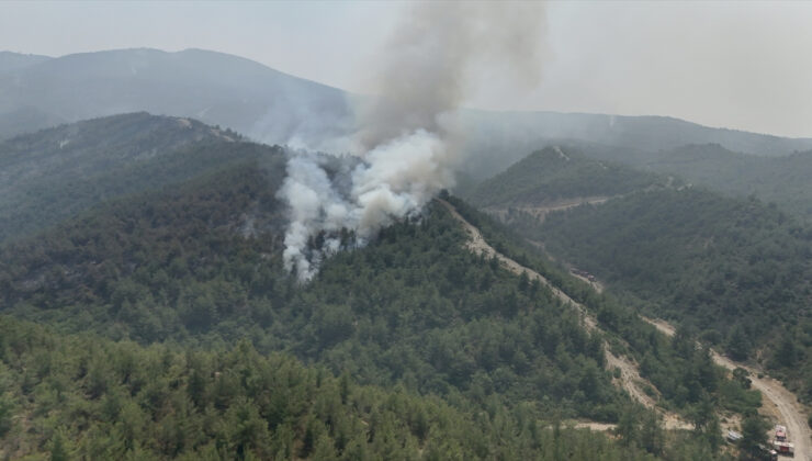 19 günde 61 orman yangını: 23 kuşkulu gözaltına alındı