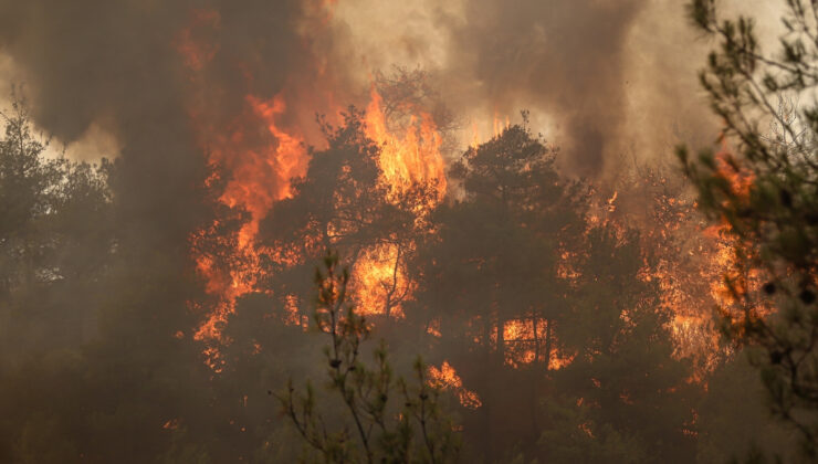4 vilayette orman yangını paniği: Müdahaleler sürüyor