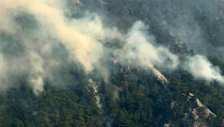 Adana’da çıkan orman yangınında tutuklama