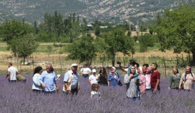 Adana’da lavanta tarlaları dikkati çekiyor
